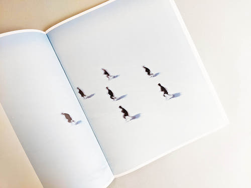 Assembly snow 2 / Osamu Yokonami