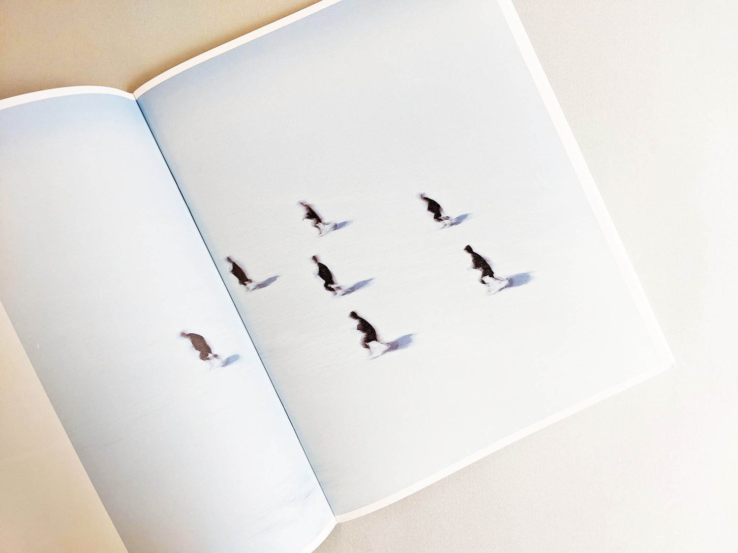 Assembly snow 2 / Osamu Yokonami