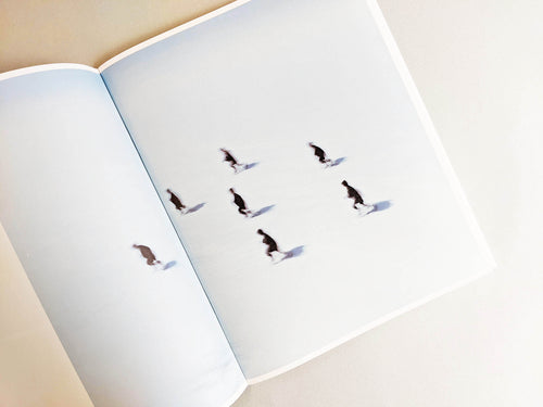 Assembly snow 2 / Osamu Yokonami