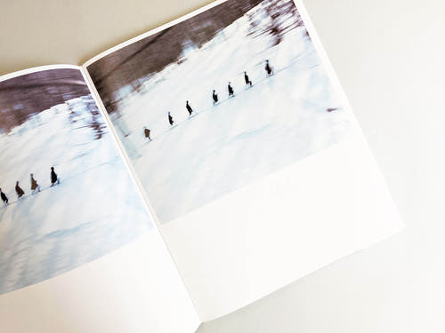 Assembly snow 2 / Osamu Yokonami
