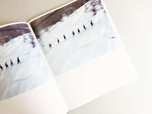 Assembly snow 2 / Osamu Yokonami