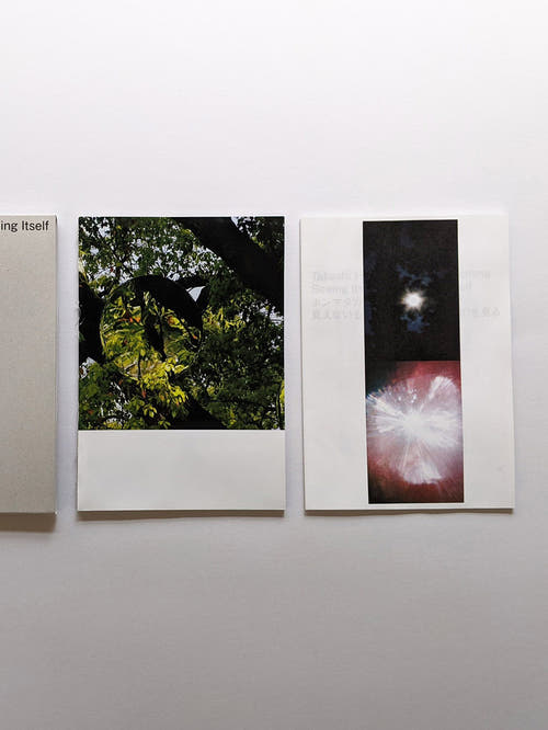 Seeing Itself－見えないものを見る / Takashi Homma