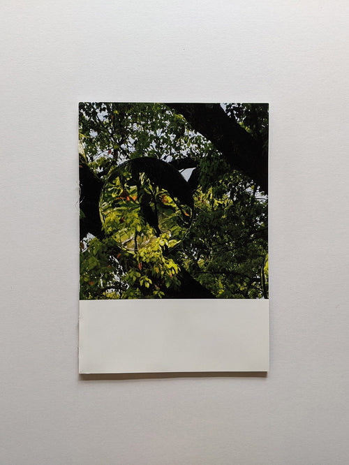 Seeing Itself－見えないものを見る / Takashi Homma