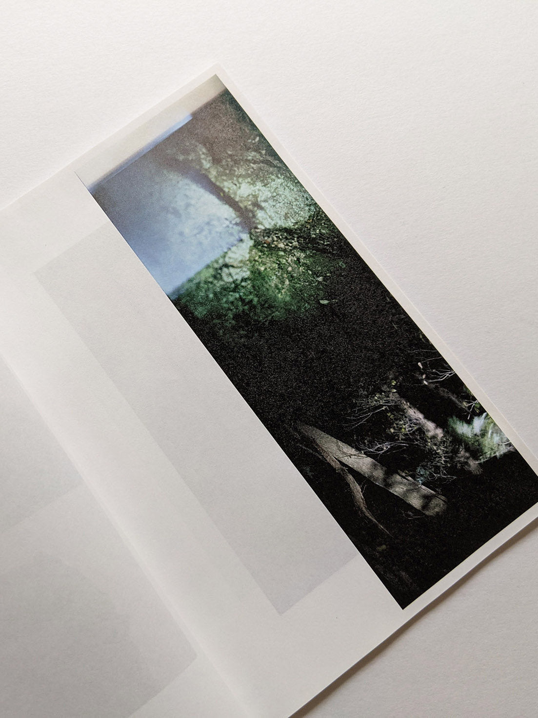 Seeing Itself－見えないものを見る / Takashi Homma