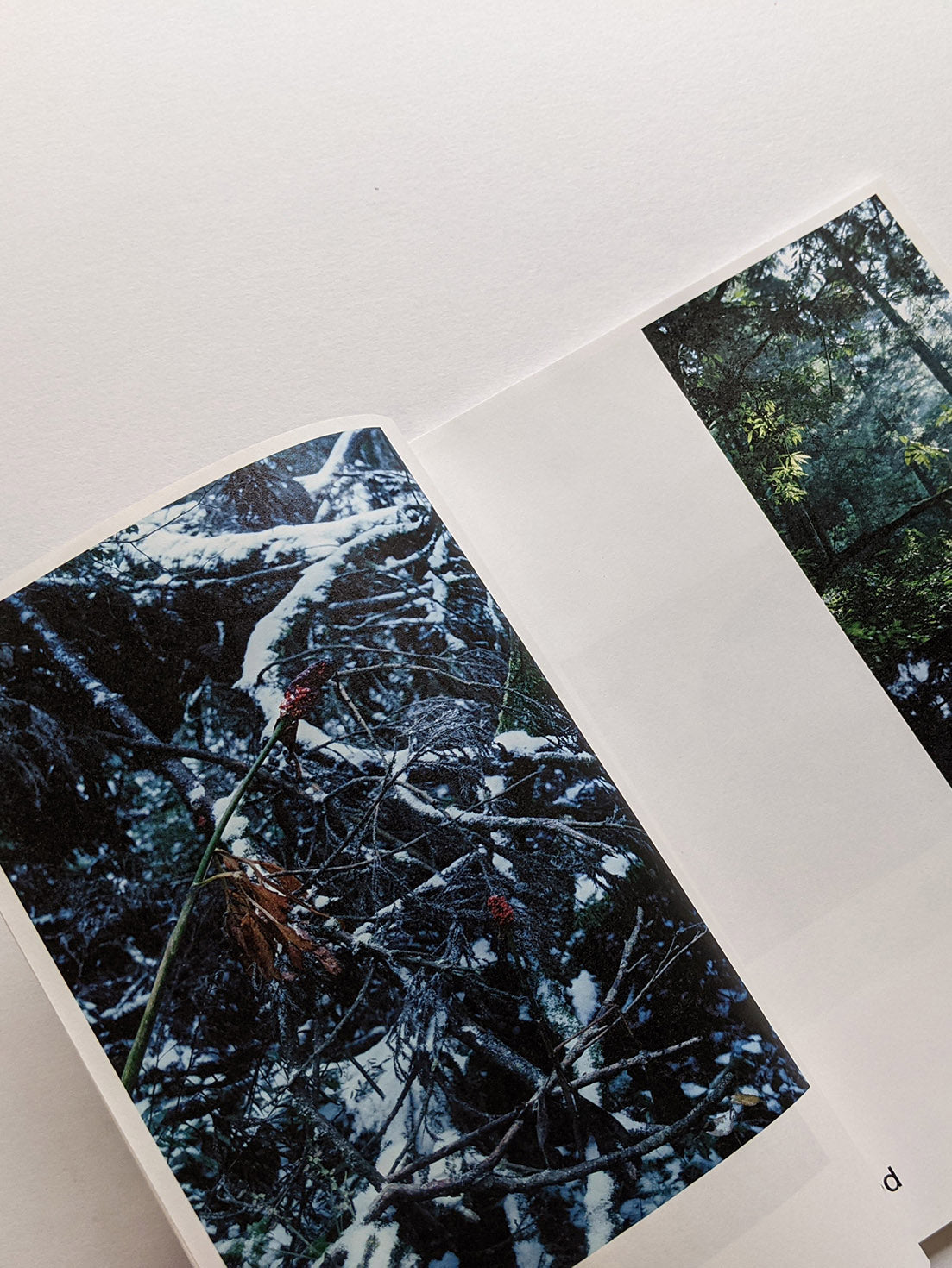 Seeing Itself－見えないものを見る / Takashi Homma