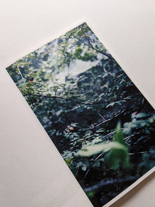 Seeing Itself－見えないものを見る / Takashi Homma