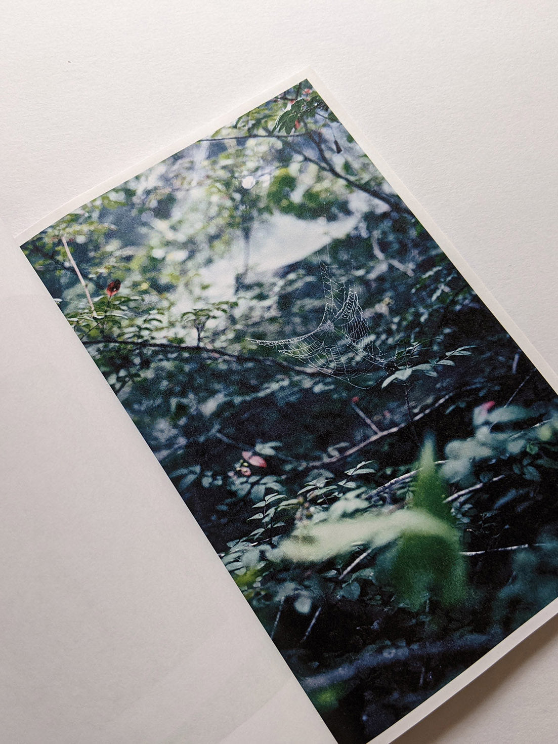 Seeing Itself－見えないものを見る / Takashi Homma