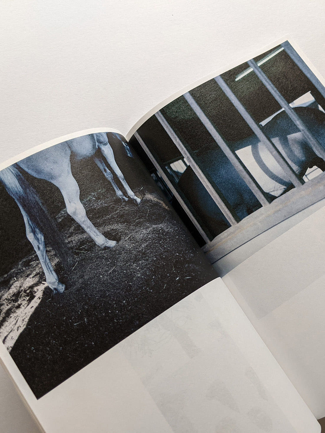 Seeing Itself－見えないものを見る / Takashi Homma