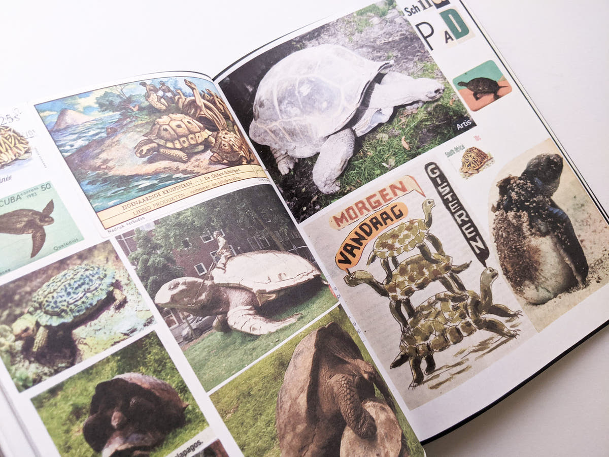 Animal Books For Jaap Zeno Anna Julian Luca (New edition) / Lous Martens
