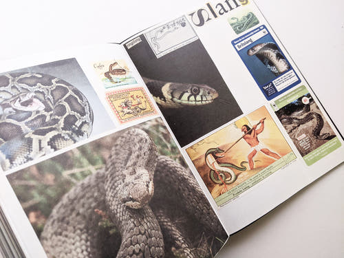Animal Books For Jaap Zeno Anna Julian Luca (New edition) / Lous Martens
