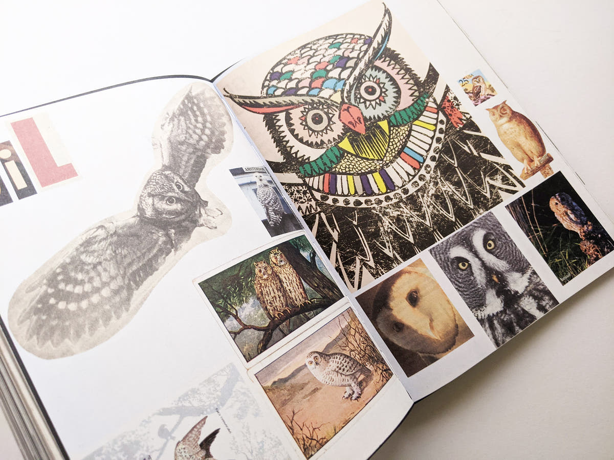 Animal Books For Jaap Zeno Anna Julian Luca (New edition) / Lous Martens