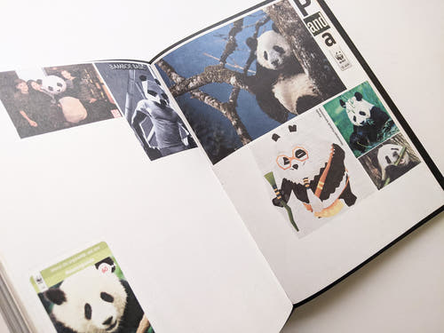 Animal Books For Jaap Zeno Anna Julian Luca (New edition) / Lous Martens