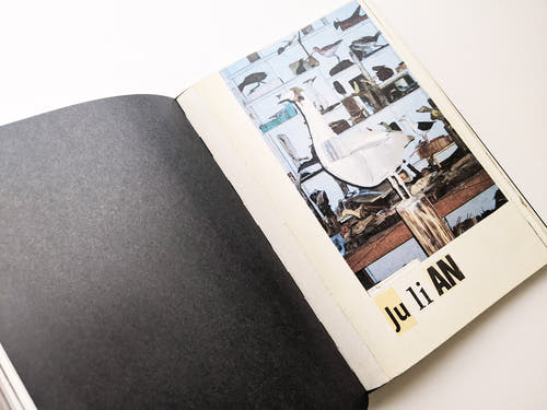 Animal Books For Jaap Zeno Anna Julian Luca (New edition) / Lous Martens