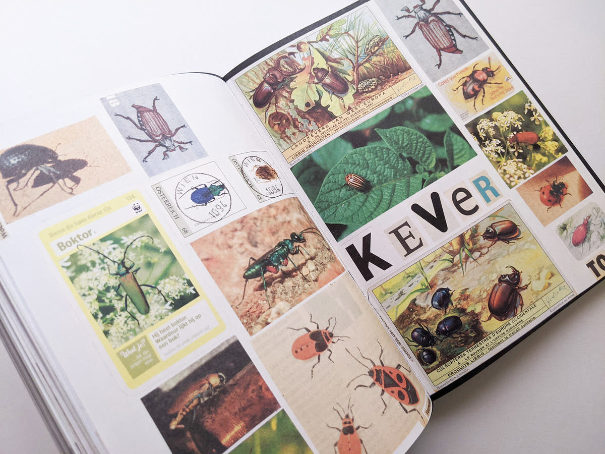 Animal Books For Jaap Zeno Anna Julian Luca (New edition) / Lous Martens