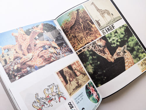Animal Books For Jaap Zeno Anna Julian Luca (New edition) / Lous Martens