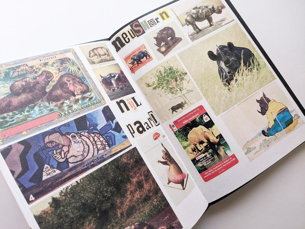 Animal Books For Jaap Zeno Anna Julian Luca (New edition) / Lous Martens