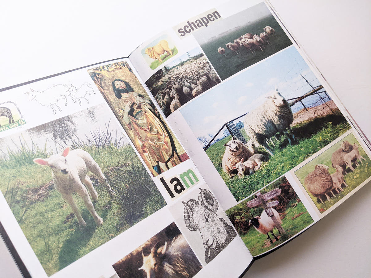 Animal Books For Jaap Zeno Anna Julian Luca (New edition) / Lous Martens