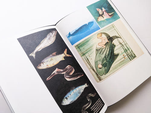 Animal Books For Jaap Zeno Anna Julian Luca (New edition) / Lous Martens