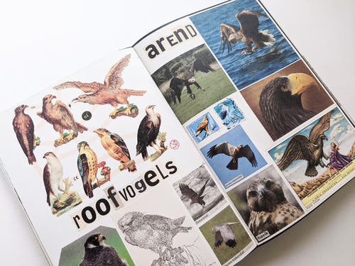 Animal Books For Jaap Zeno Anna Julian Luca (New edition) / Lous Martens