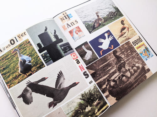 Animal Books For Jaap Zeno Anna Julian Luca (New edition) / Lous Martens