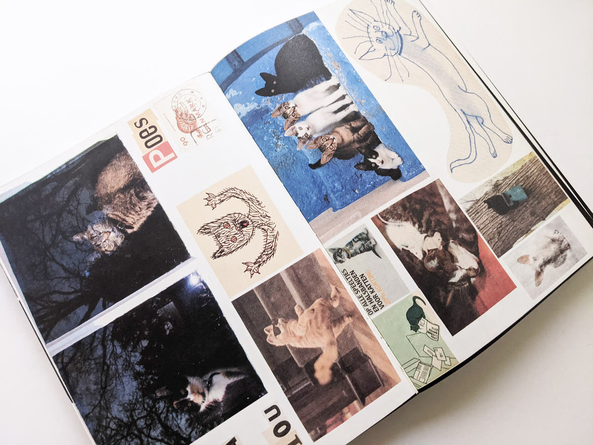 Animal Books For Jaap Zeno Anna Julian Luca (New edition) / Lous Martens