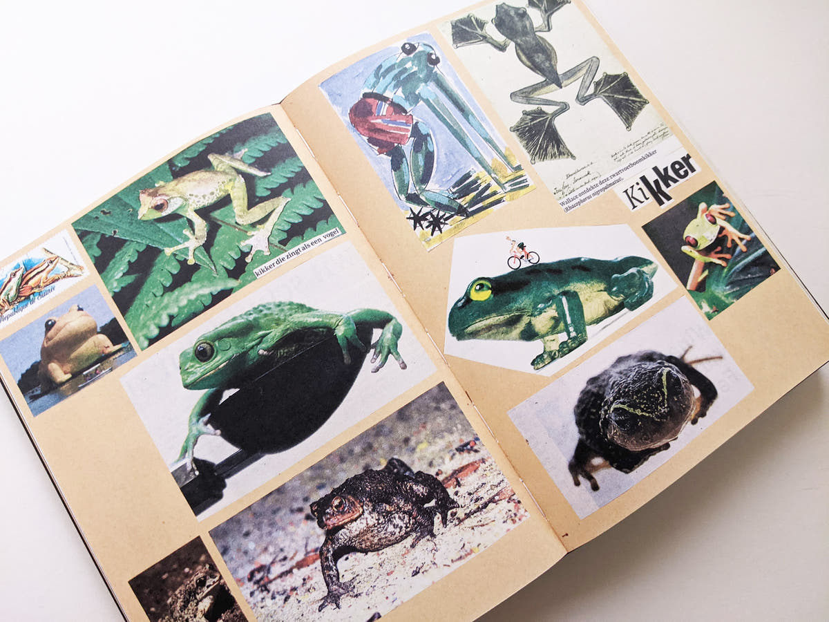 Animal Books For Jaap Zeno Anna Julian Luca (New edition) / Lous Martens