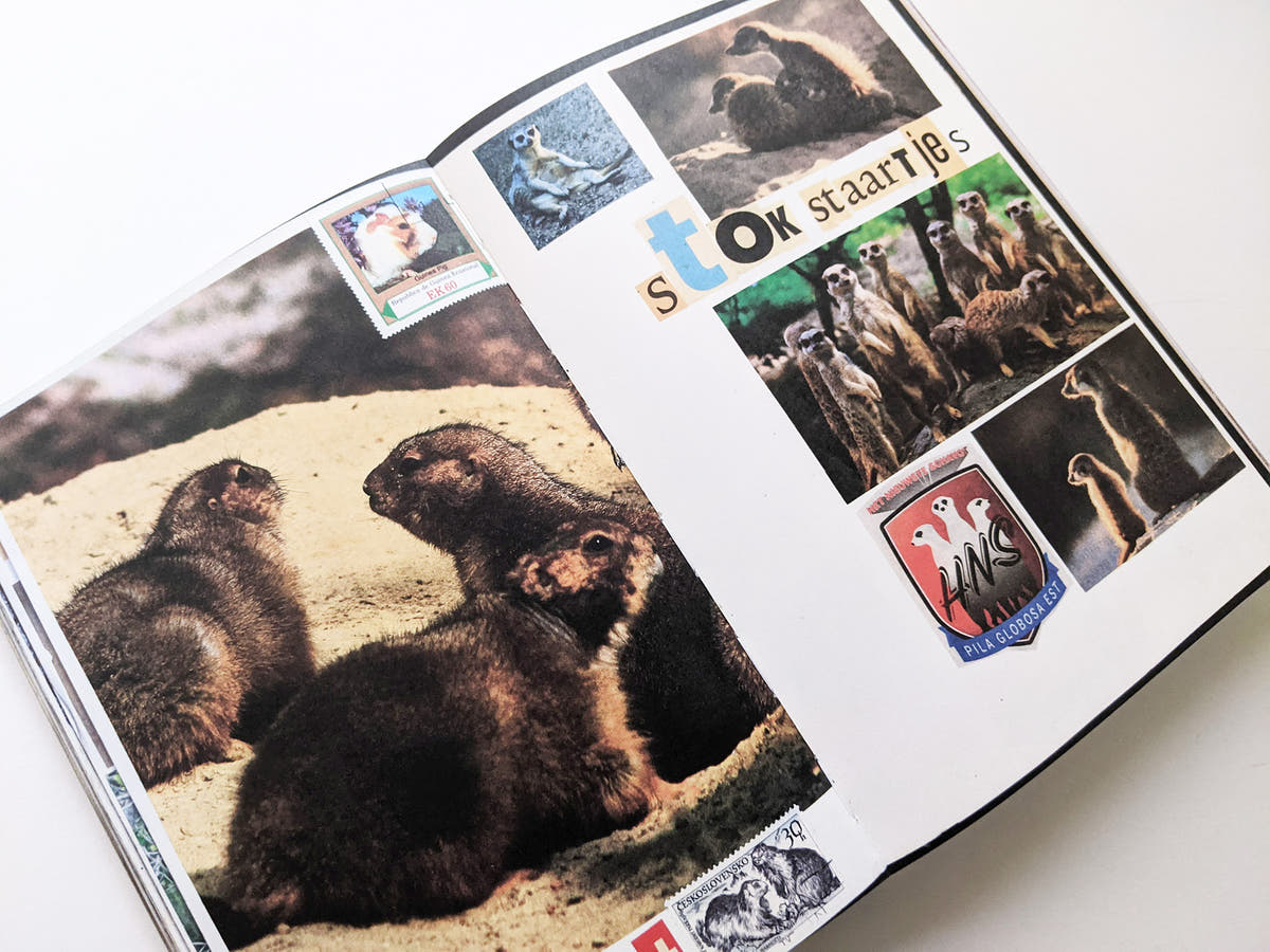 Animal Books For Jaap Zeno Anna Julian Luca (New edition) / Lous Martens