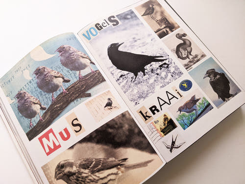 Animal Books For Jaap Zeno Anna Julian Luca (New edition) / Lous Martens