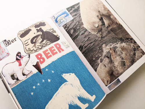 Animal Books For Jaap Zeno Anna Julian Luca (New edition) / Lous Martens