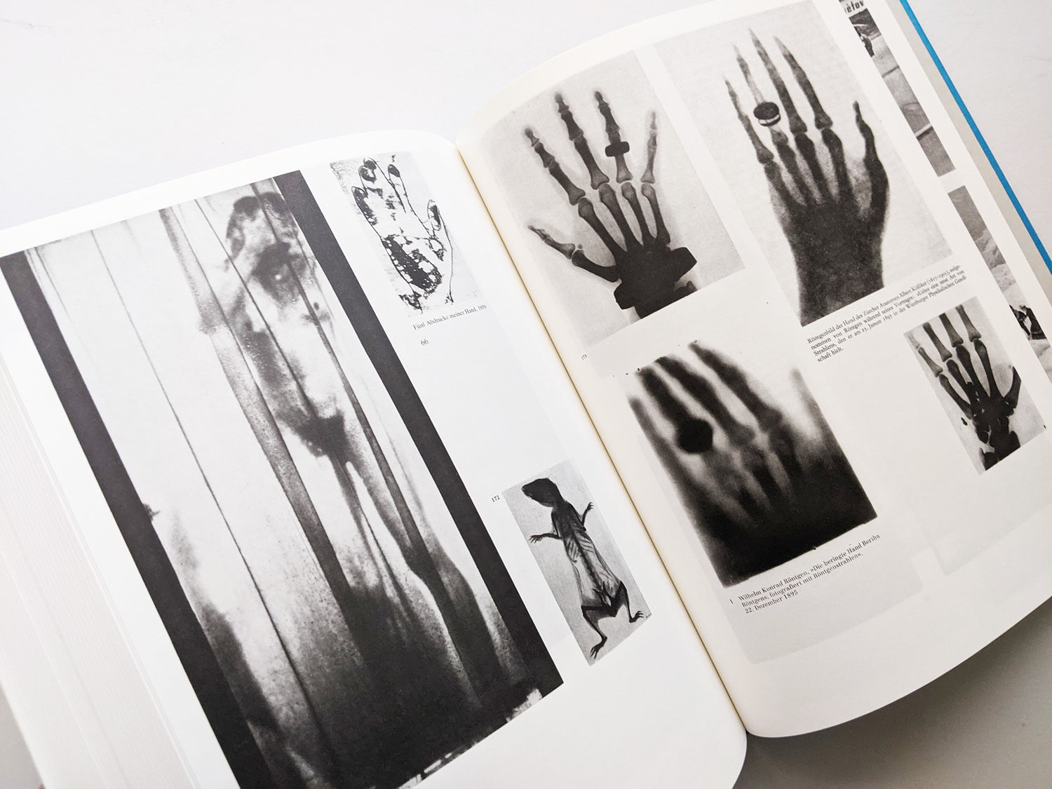 Parallel Encyclopedia 1 (reprint) / Batia Suter