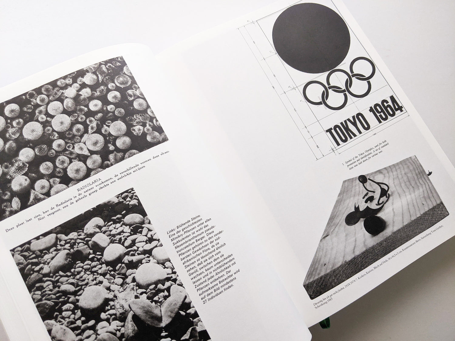 Parallel Encyclopedia 1 (reprint) / Batia Suter