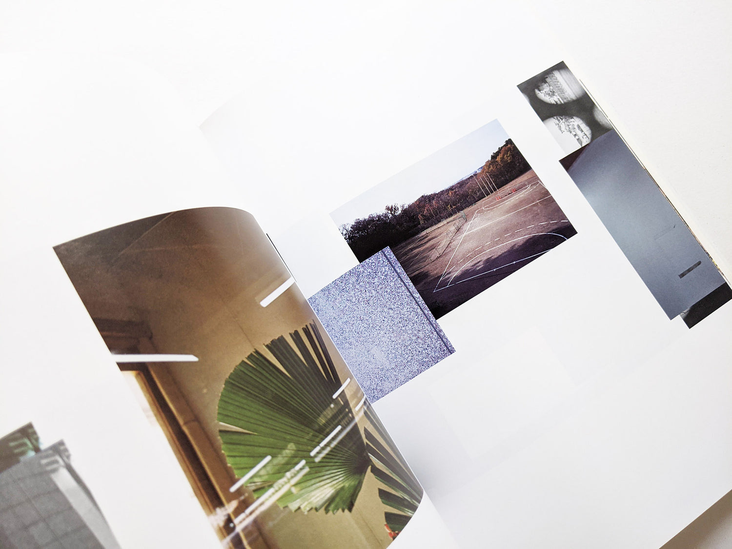 DEVENIR / Takuroh Toyama [SIGNED]