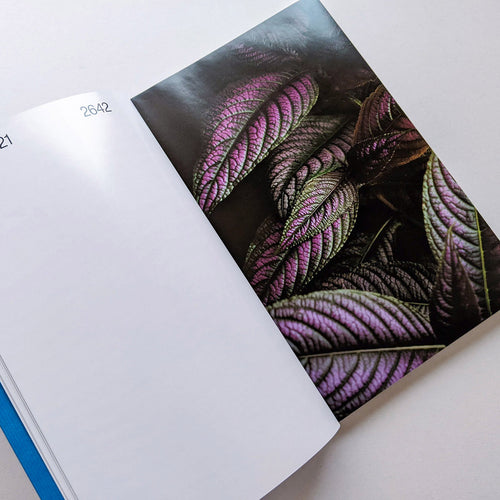 Tofu-Knife / Kohei Kawatani [SIGNED]