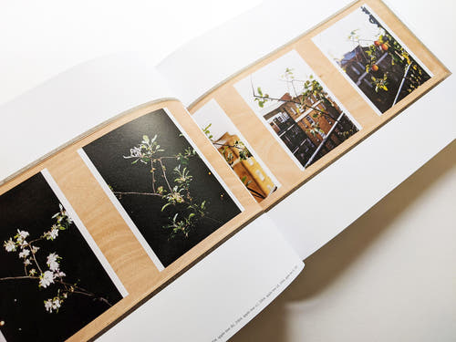 WHAT'S WRONG WITH REDISTRIBUTION? / Wolfgang Tillmans