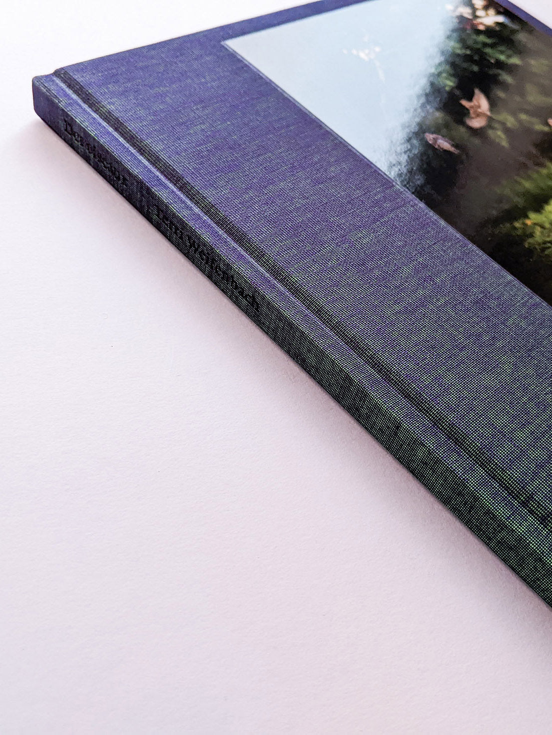 DES OISEAUX / TERRI WEIFENBACH