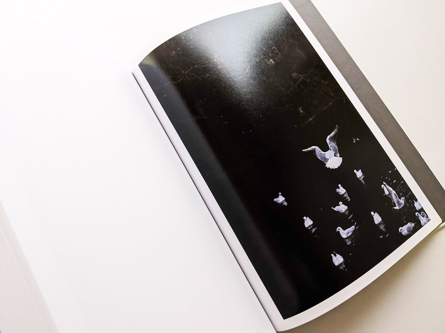 CLOUD PHYSICS / TERRI WEIFENBACH