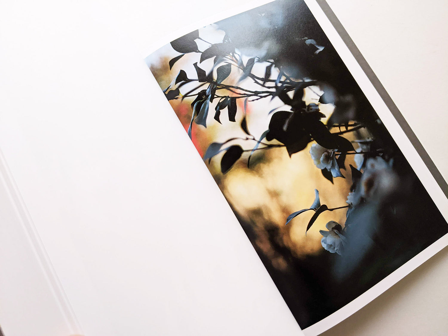 CLOUD PHYSICS / TERRI WEIFENBACH