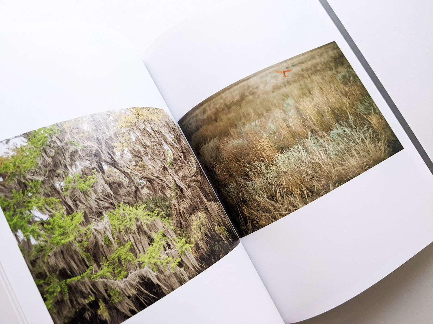 CLOUD PHYSICS / TERRI WEIFENBACH