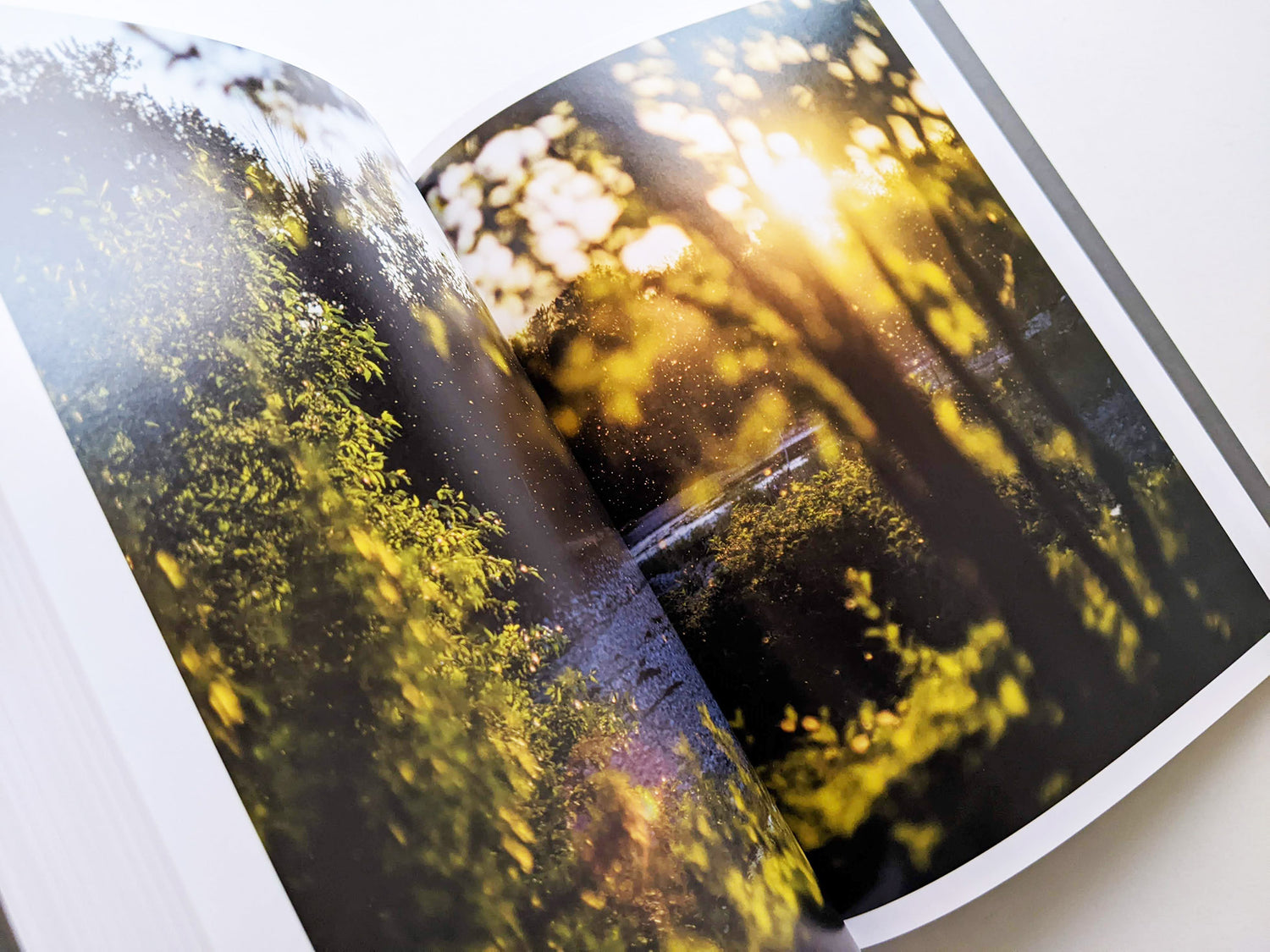 CLOUD PHYSICS / TERRI WEIFENBACH