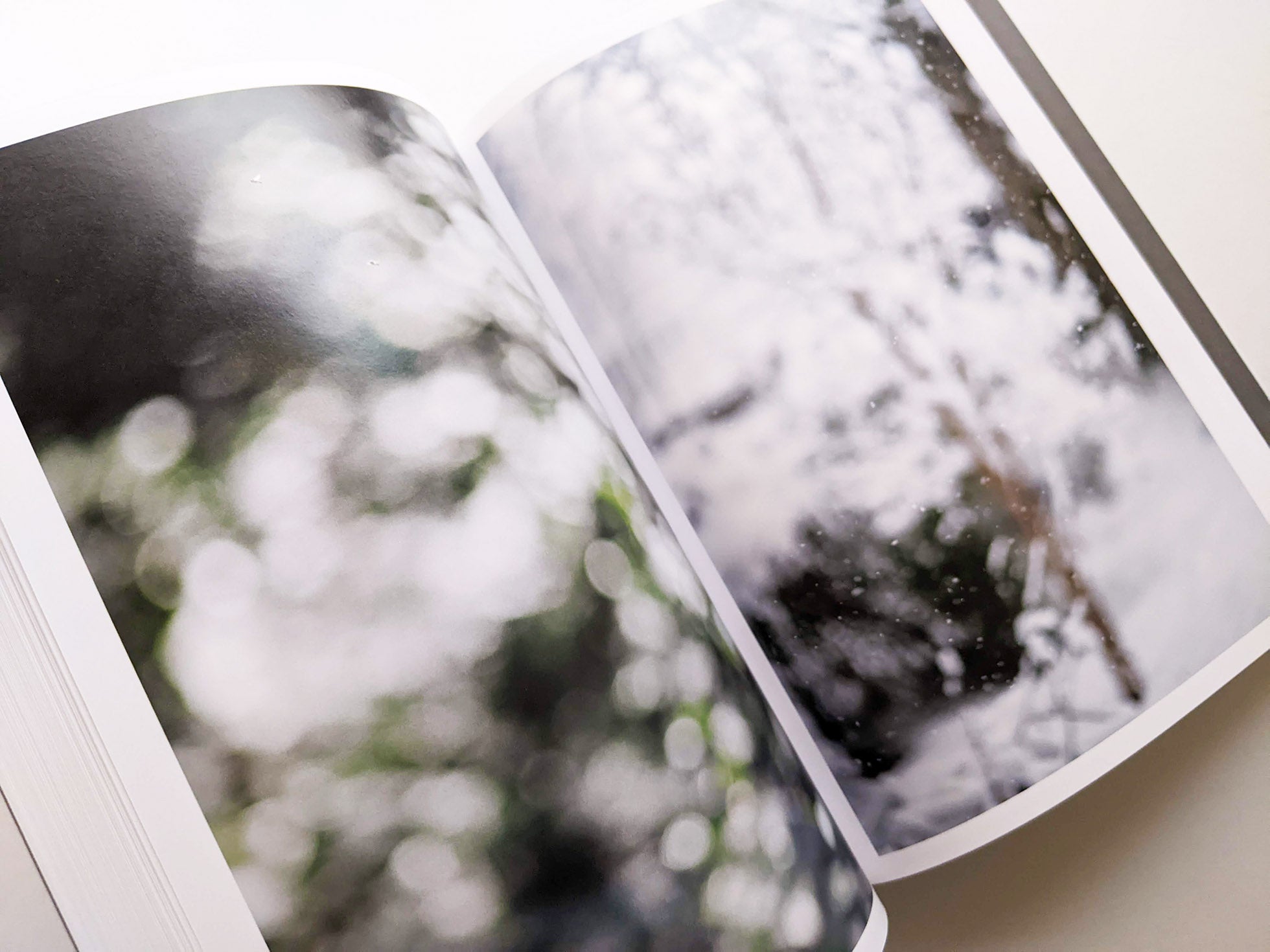 CLOUD PHYSICS / TERRI WEIFENBACH - 本屋青旗 Ao-Hata Bookstore