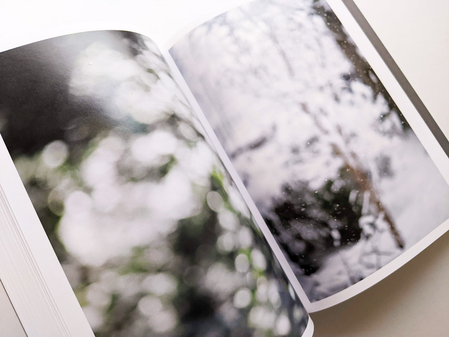 CLOUD PHYSICS / TERRI WEIFENBACH