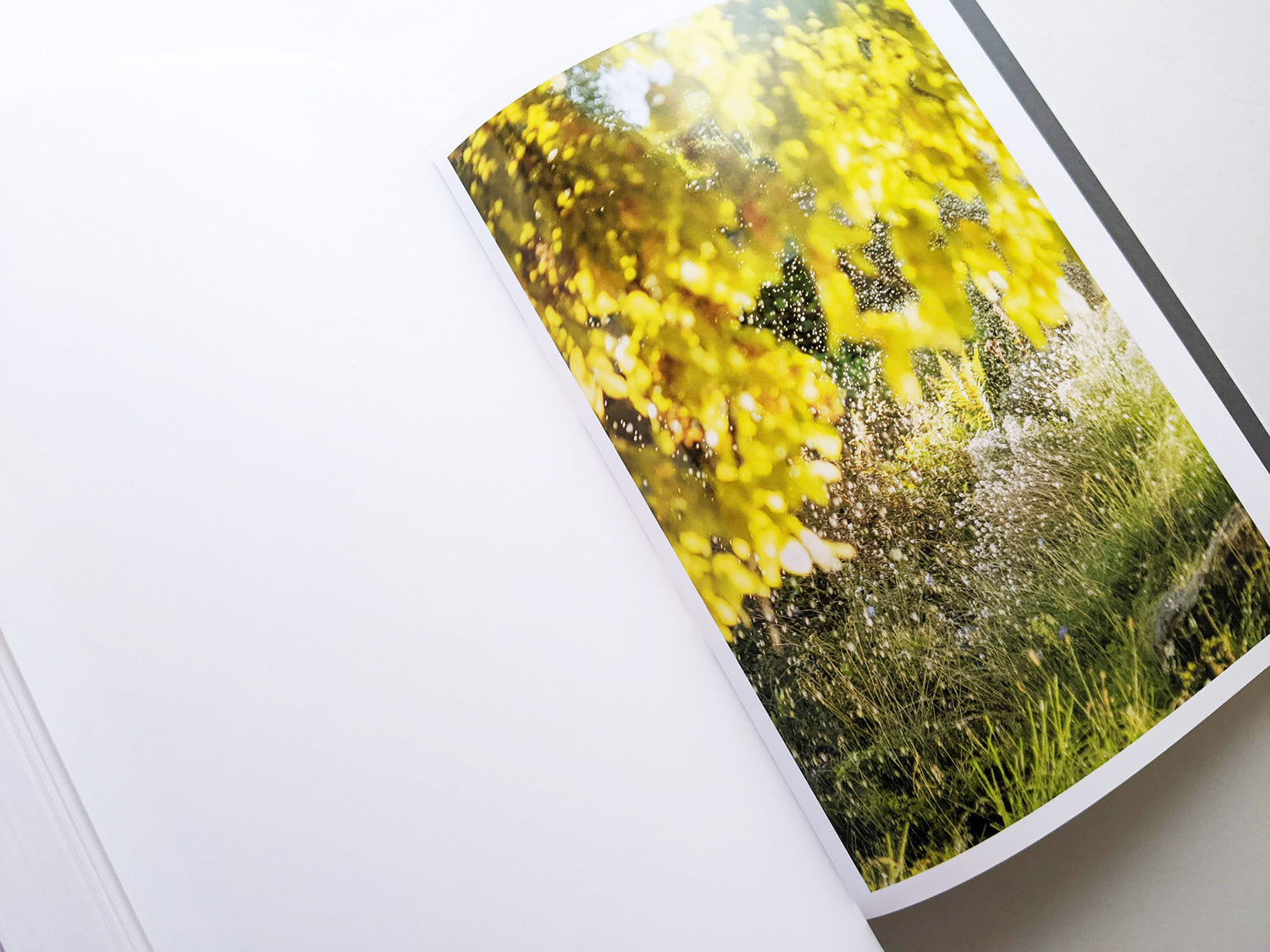 CLOUD PHYSICS / TERRI WEIFENBACH