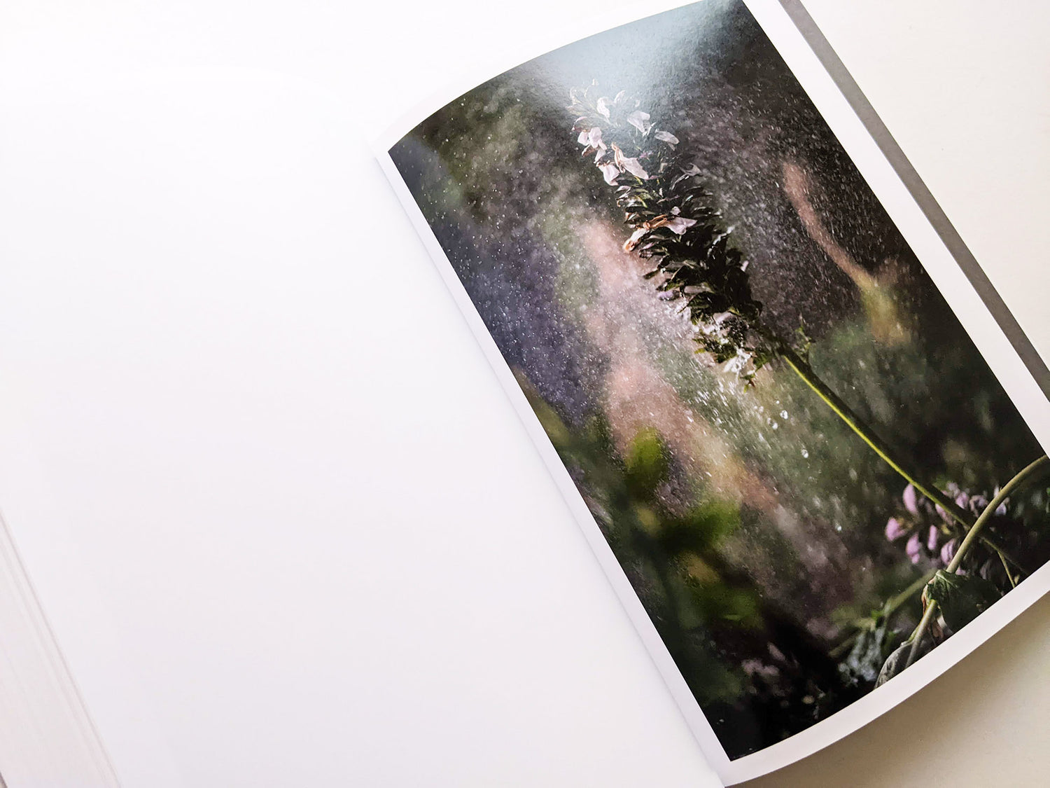 CLOUD PHYSICS / TERRI WEIFENBACH