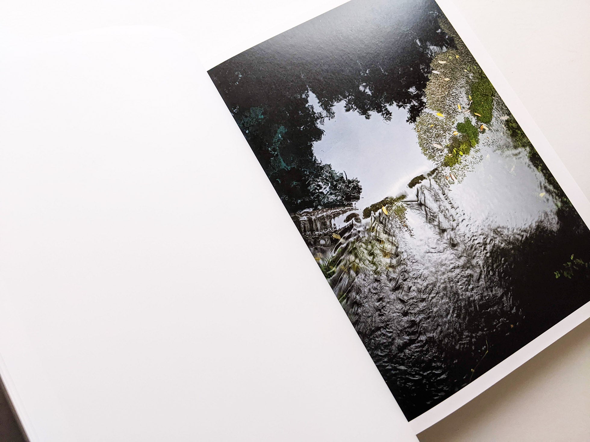 CLOUD PHYSICS / TERRI WEIFENBACH - 本屋青旗 Ao-Hata Bookstore