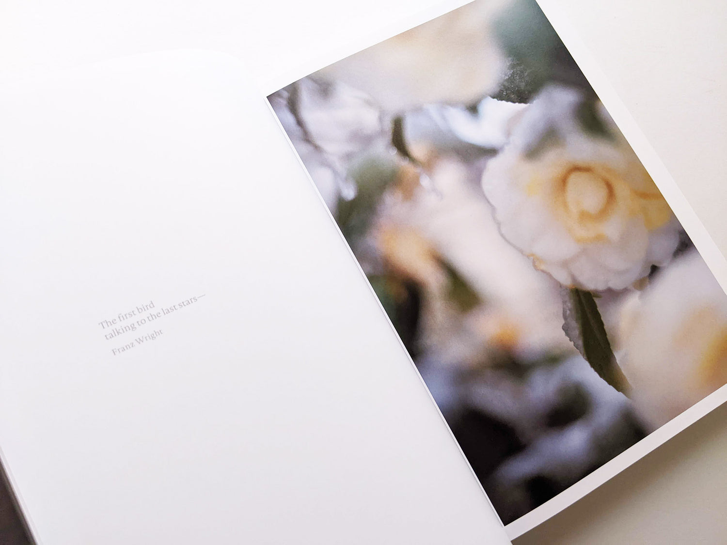 CLOUD PHYSICS / TERRI WEIFENBACH