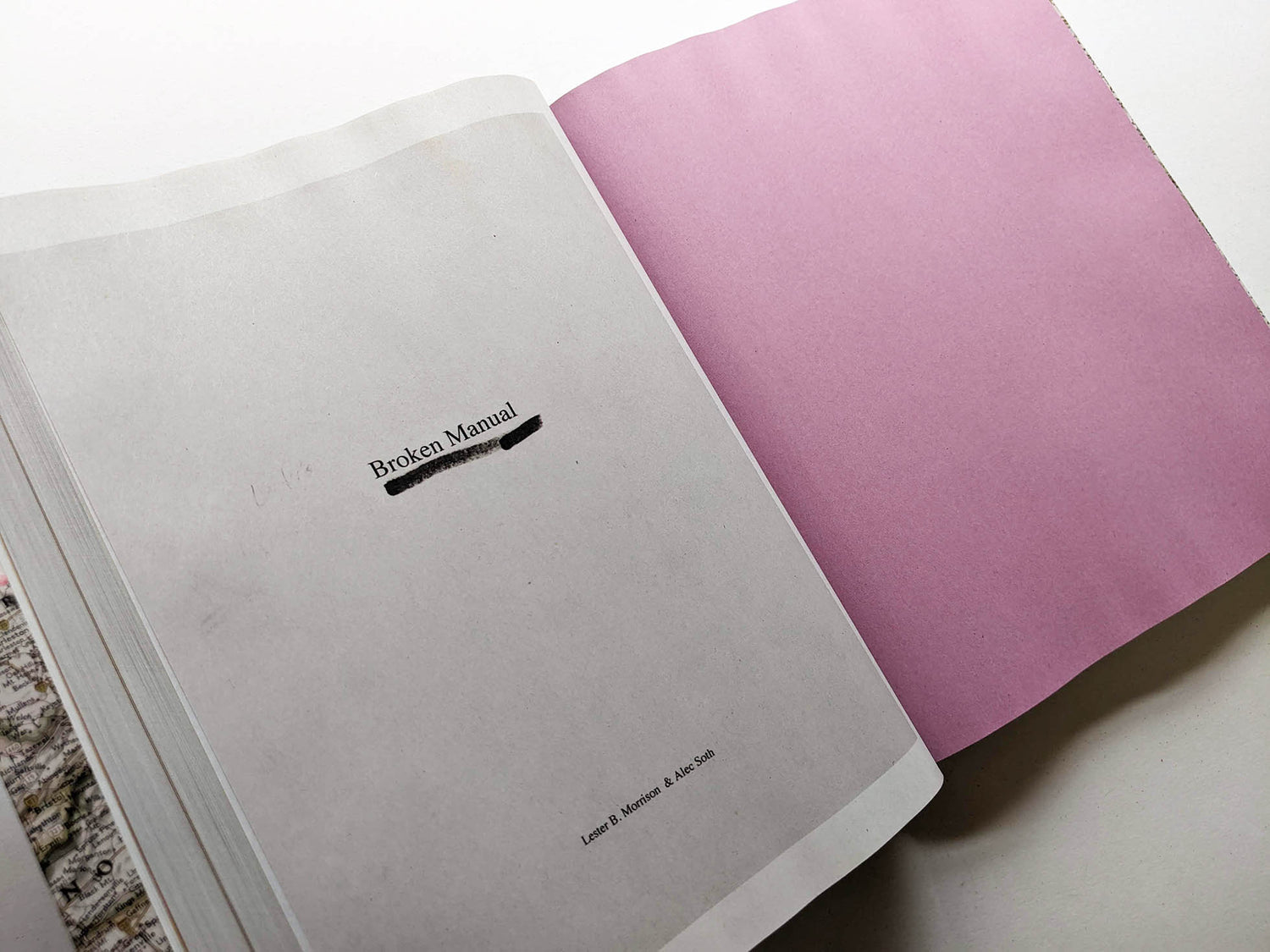 GATHERED LEAVES ANNOTATED / Alec Soth