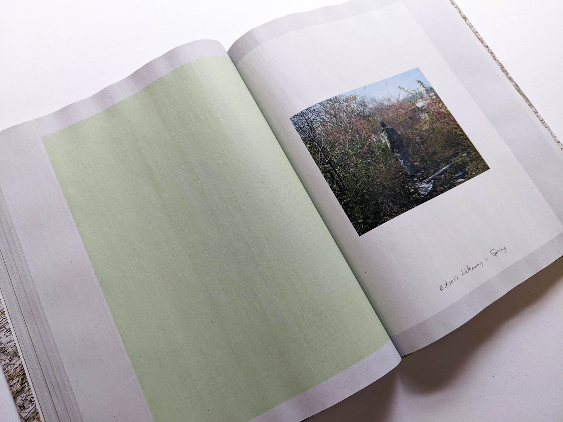 GATHERED LEAVES ANNOTATED / Alec Soth - 本屋青旗 Ao-Hata Bookstore