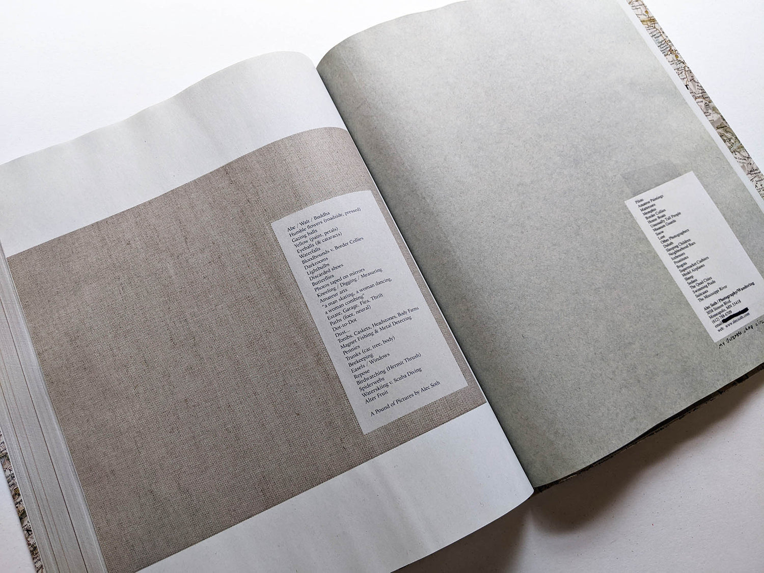 GATHERED LEAVES ANNOTATED / Alec Soth