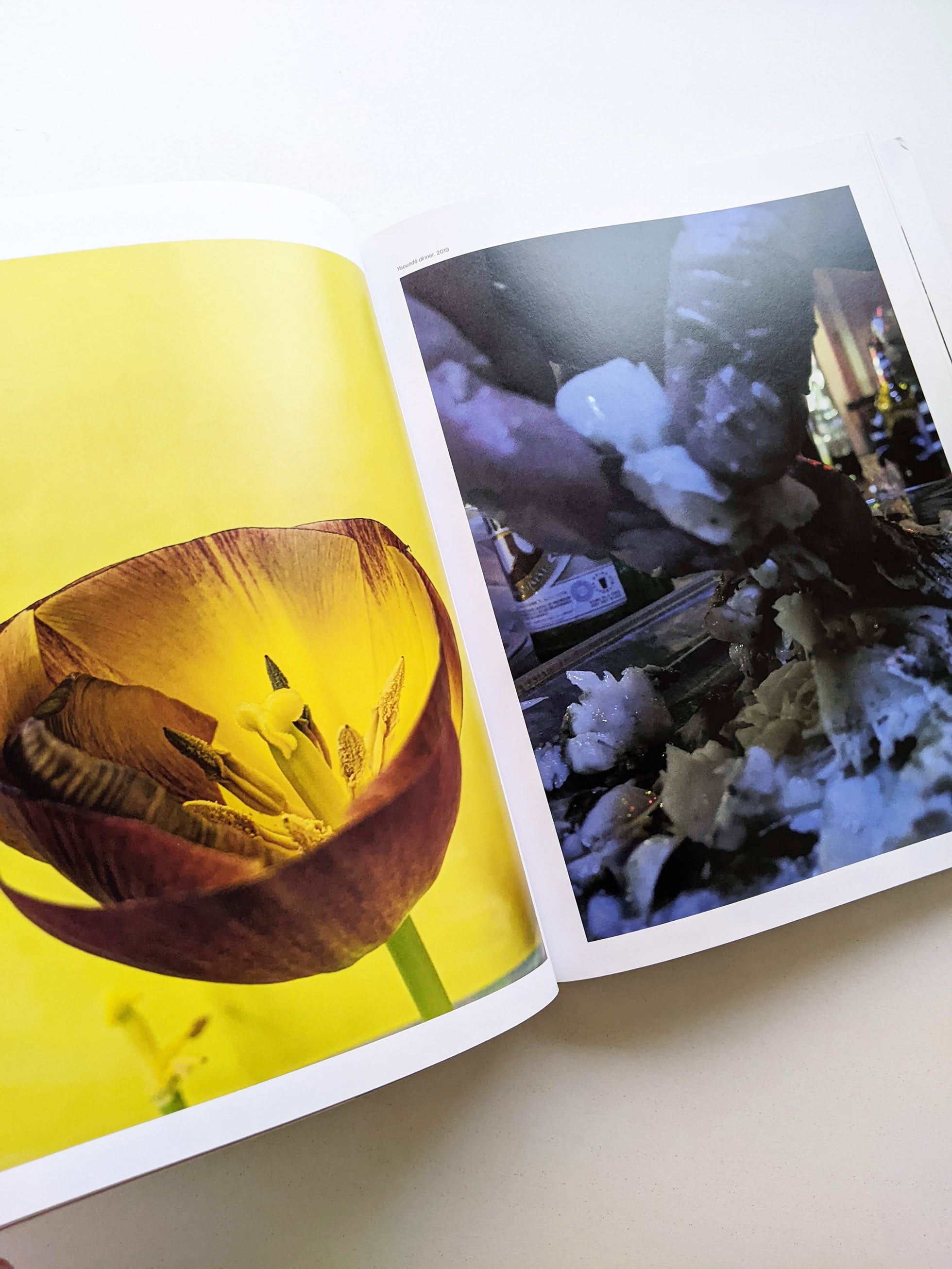 TO LOOK WITHOUT FEAR / Wolfgang Tillmans - 本屋青旗 Ao-Hata Bookstore