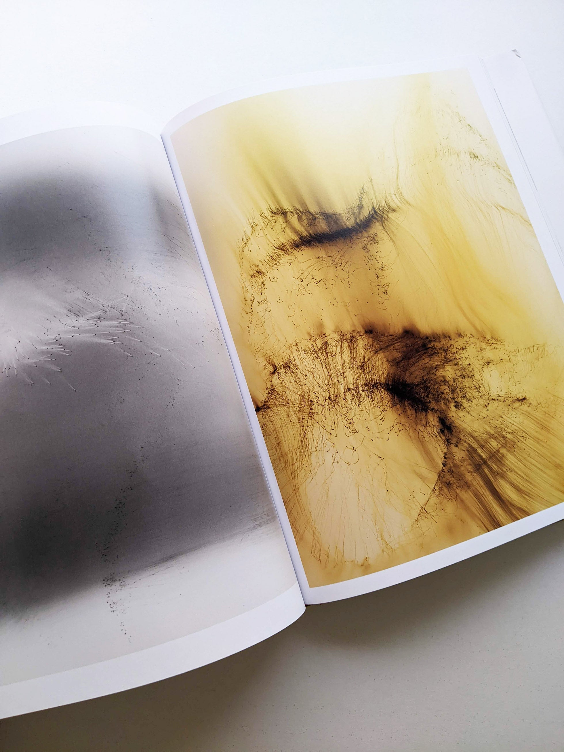 TO LOOK WITHOUT FEAR / Wolfgang Tillmans - 本屋青旗 Ao-Hata Bookstore
